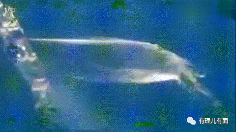 无赖当久了就成你的了?