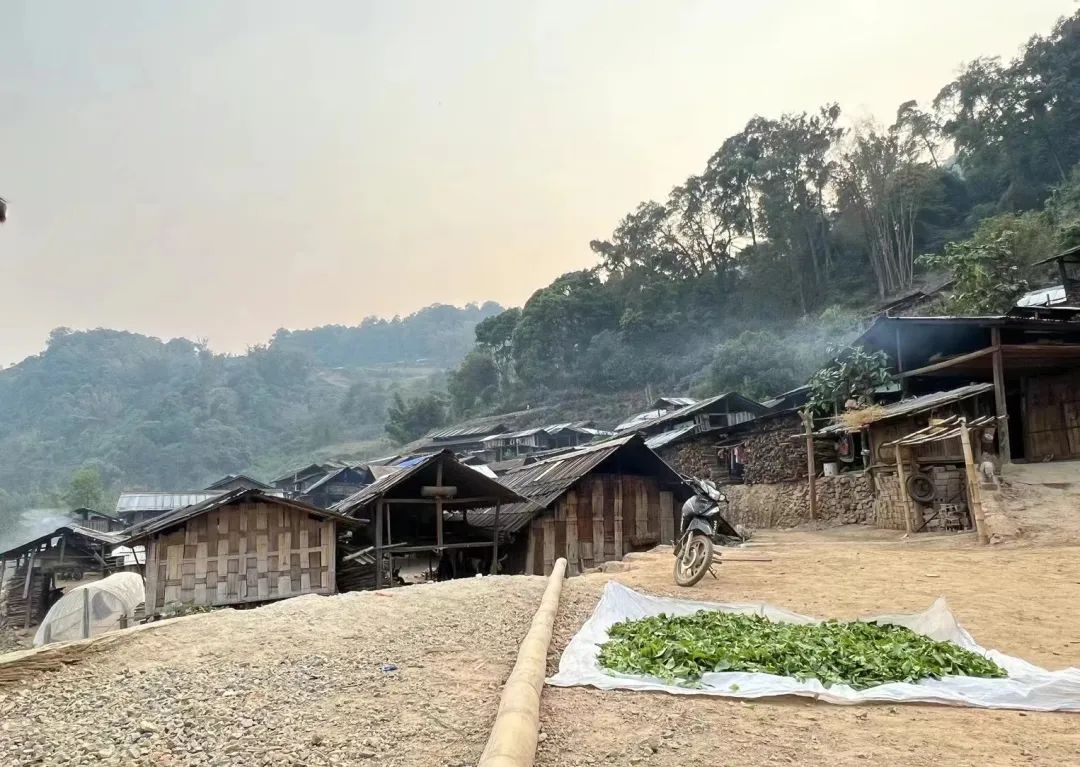 “在果敢,一个电诈人才可以卖到3000万”丨探访“金三角”核心地带