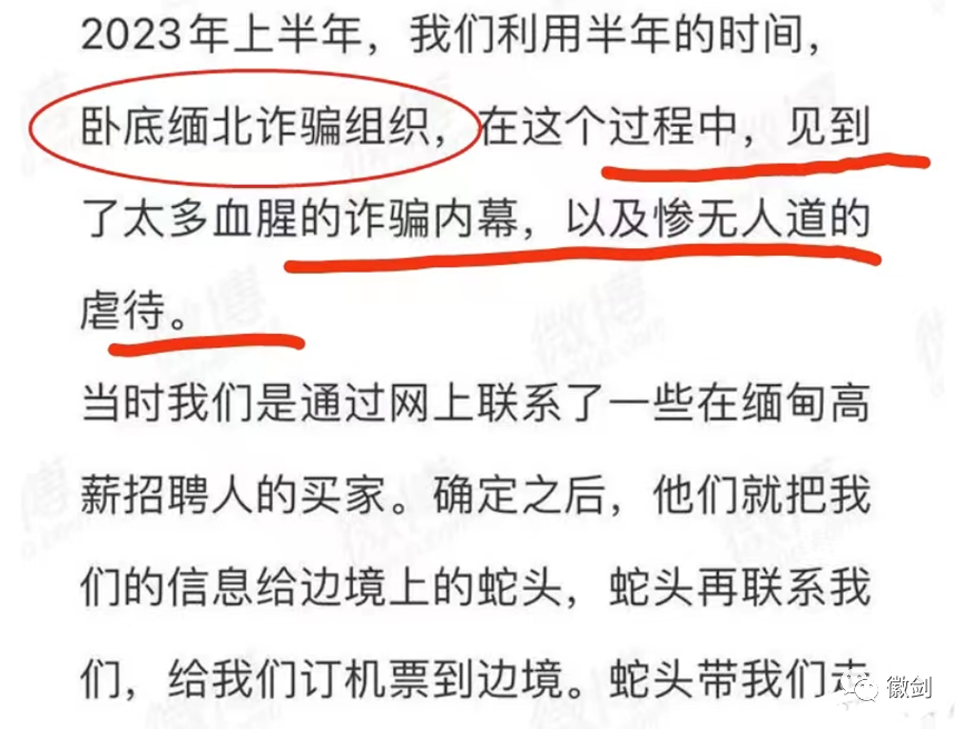 真相大白,河南都市女记者卧底缅北是彻底作假的演出