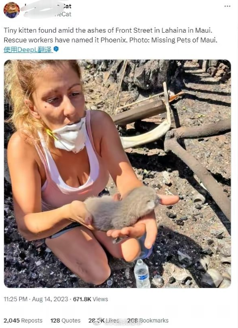 夏威夷大火都烧完9天了还有1300人失踪，只搜救了3%废墟