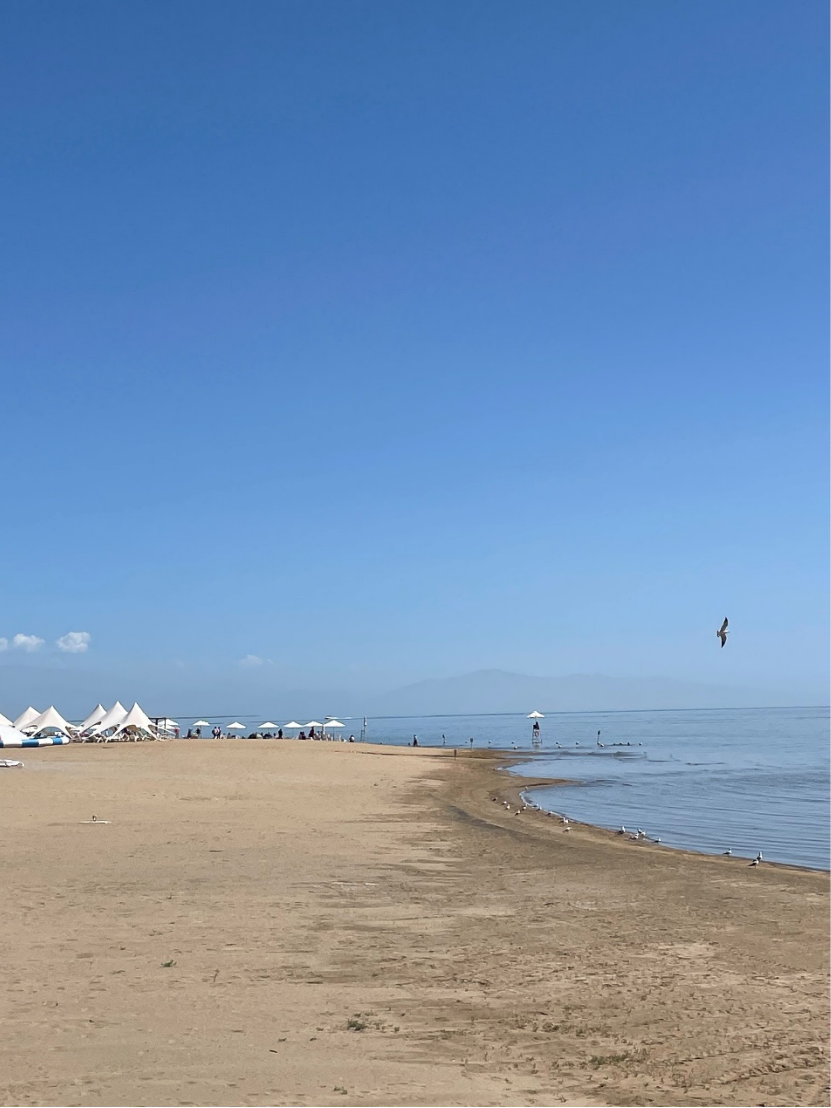 全国人民都知道新疆“海鲜”了,这次江浙沪不包邮