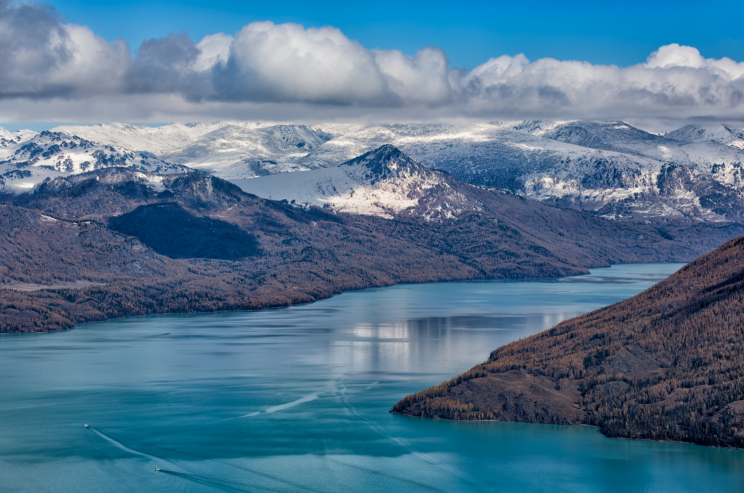 全国人民都知道新疆“海鲜”了,这次江浙沪不包邮