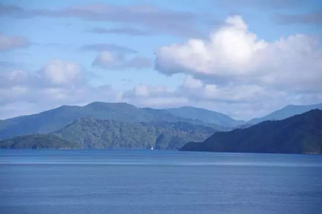 为什么新西兰不修建“库克海峡”跨海大桥,从而连接北岛和南岛?