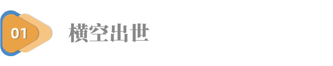 被外资吃干抹净,谁还记得它的辉煌与凄凉