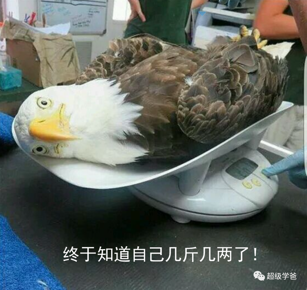 物尽其用——千里迢迢来黄海演习的美军,怎能轻易放走?!