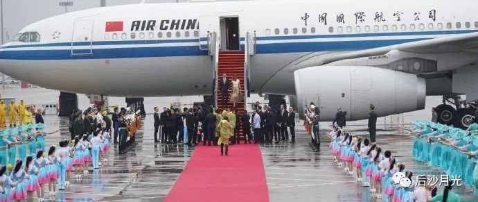 “沙漠玫瑰”没有凋零,她在杭州再次绽放!