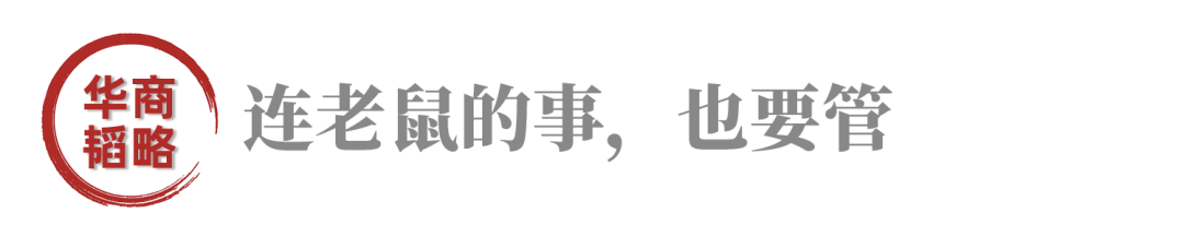 关键时刻,任正非拒见美方团队