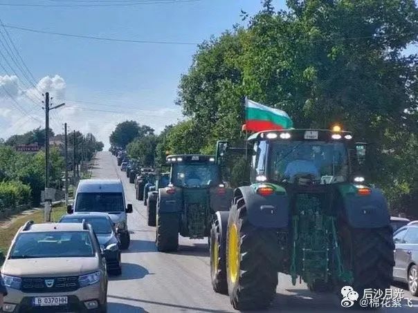 泽连斯基恩将仇报?欧盟很震惊,也很难过