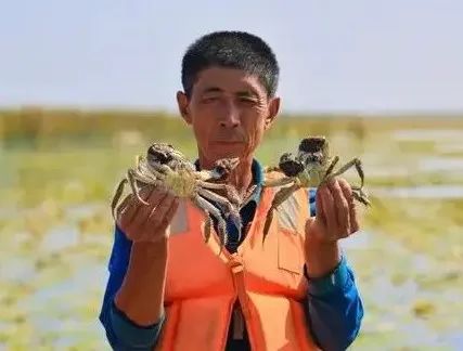 两名德国学者这样说新疆,在西方竟然捅了“马蜂窝”?