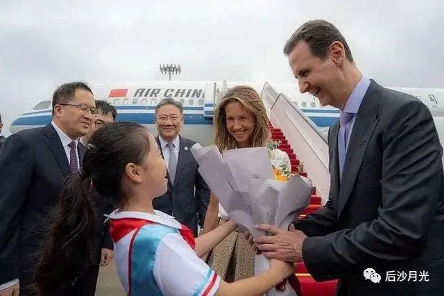 “沙漠玫瑰”没有凋零,她在杭州再次绽放!