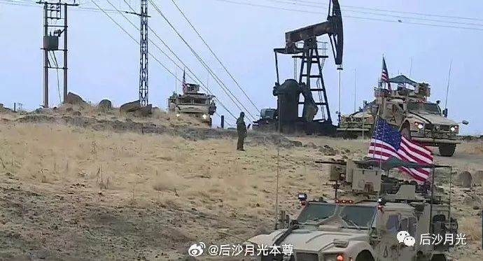 “沙漠玫瑰”没有凋零,她在杭州再次绽放!