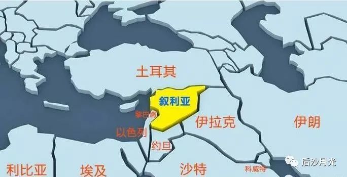 “沙漠玫瑰”没有凋零,她在杭州再次绽放!