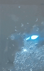 又比美国快了一步,哈工大公开月球基地建设流程,方案令人惊叹