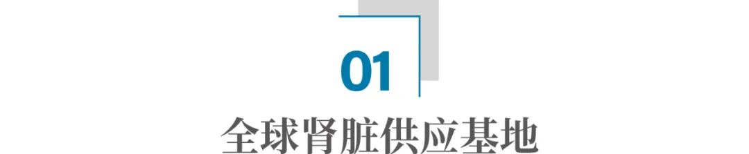 穷到卖腰子,到底是种什么体验?