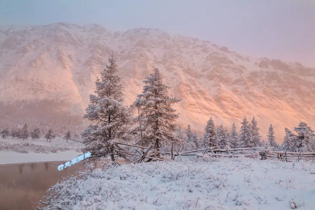 西伯利亚冬天有多可怕?屯粮千斤腌菜百罐,还得砍柴一个月