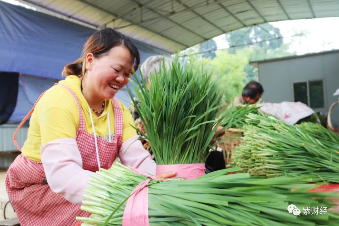 韭菜觉醒了?3000点保卫战惨败,谁把A股搞成一摊烂泥?