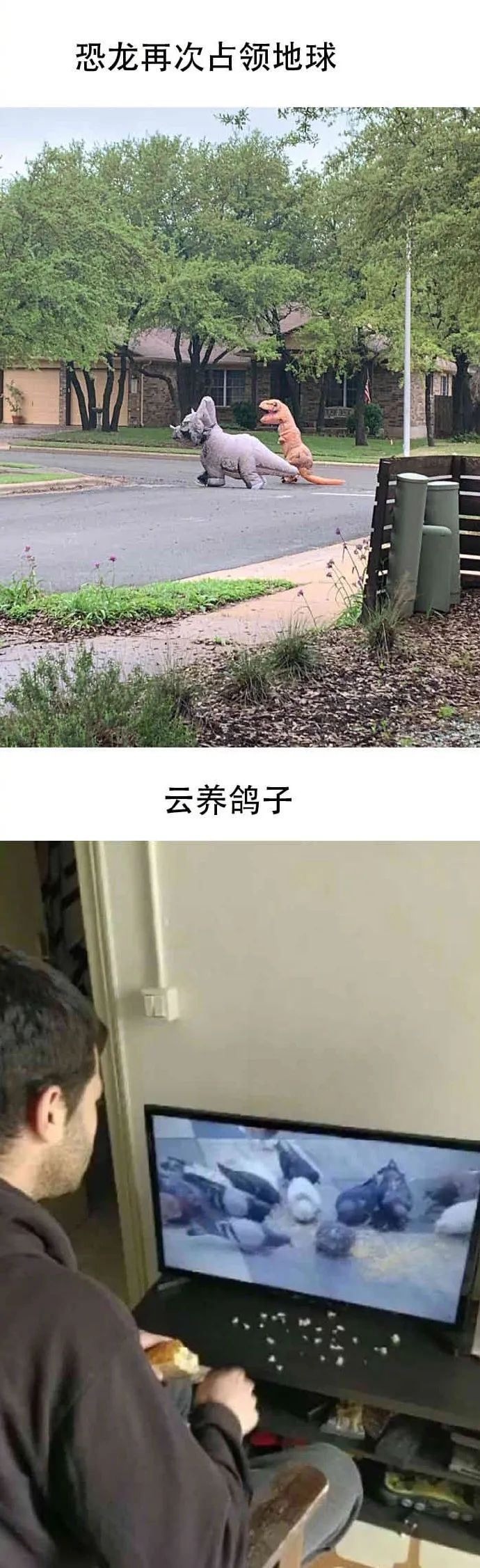 西方的回旋镖打爆了自己