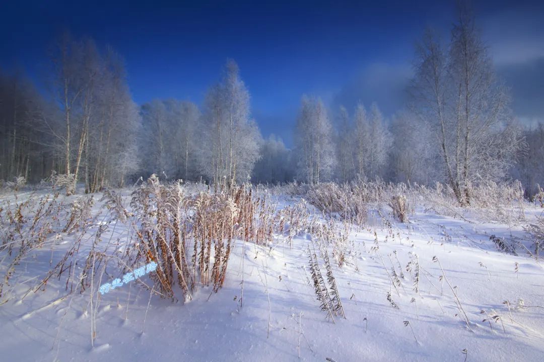 西伯利亚冬天有多可怕?屯粮千斤腌菜百罐,还得砍柴一个月