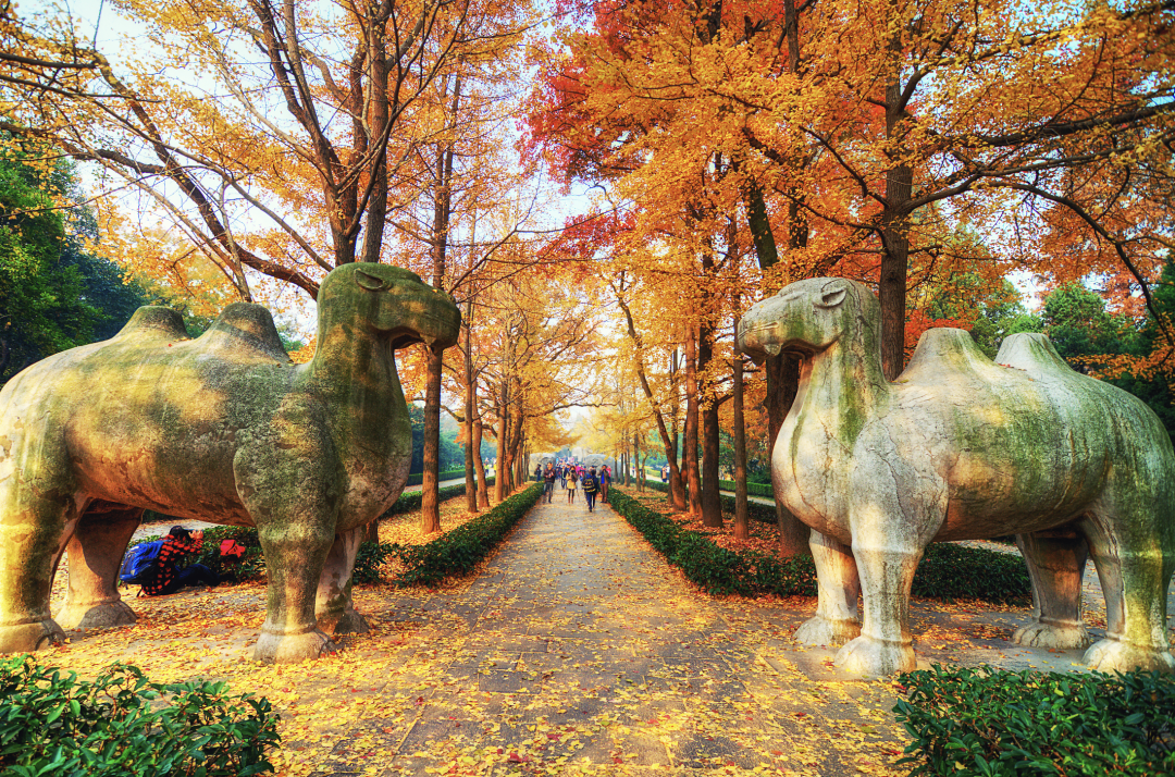 靖难之役后,建文帝去哪儿了?