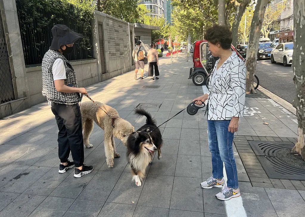 5000万只犬,谁来管,怎么管