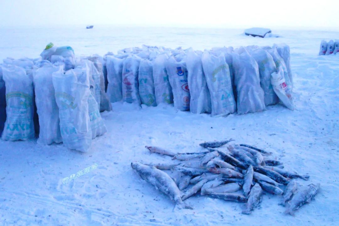 西伯利亚冬天有多可怕?屯粮千斤腌菜百罐,还得砍柴一个月