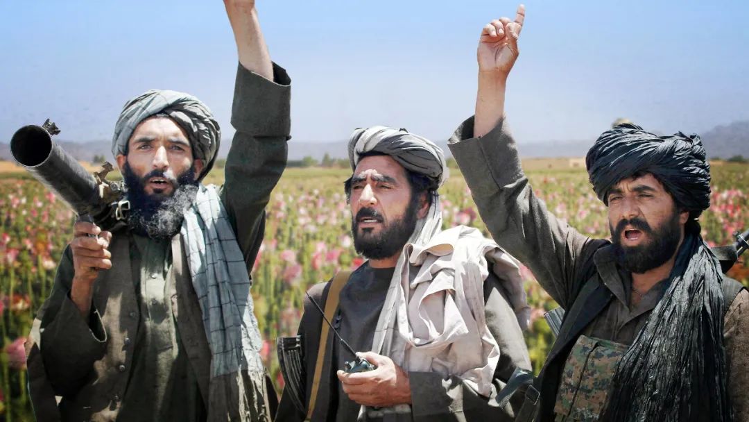 联合国宣布：阿富汗毒品原作物种植面积锐减95%！阿富汗塔利班是咋做到的？