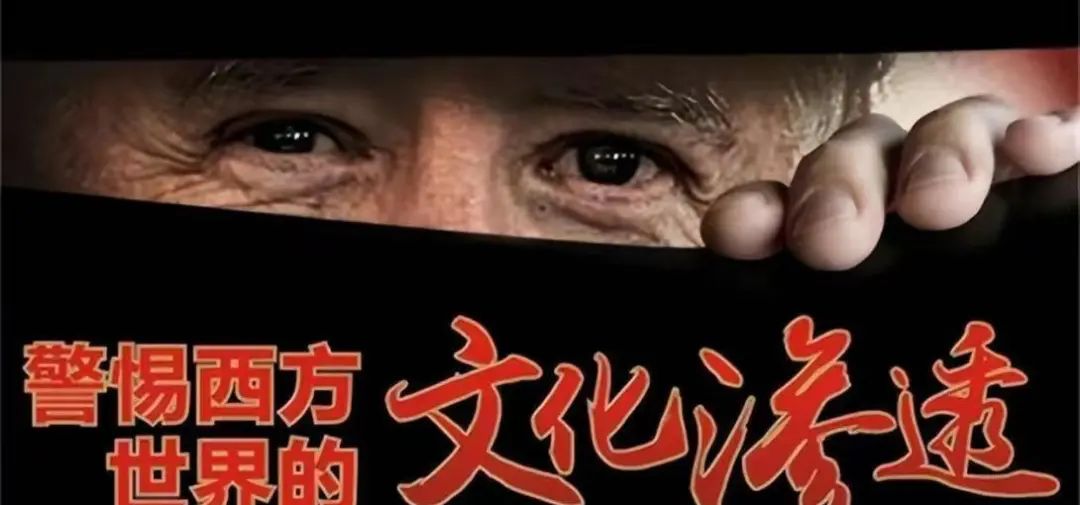 中国最大问题是内部问题,女专家直指:有些知识分子被洗成内鬼