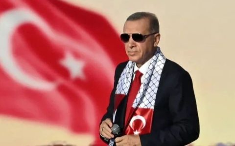 “以色列是战争罪犯”：本就外交不顺的土耳其，如何在中东危机中处身？