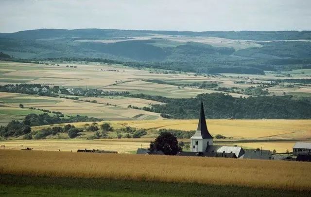 世界上面积前三大的平原:亚马孙平原、东欧平原和西西伯利亚平原