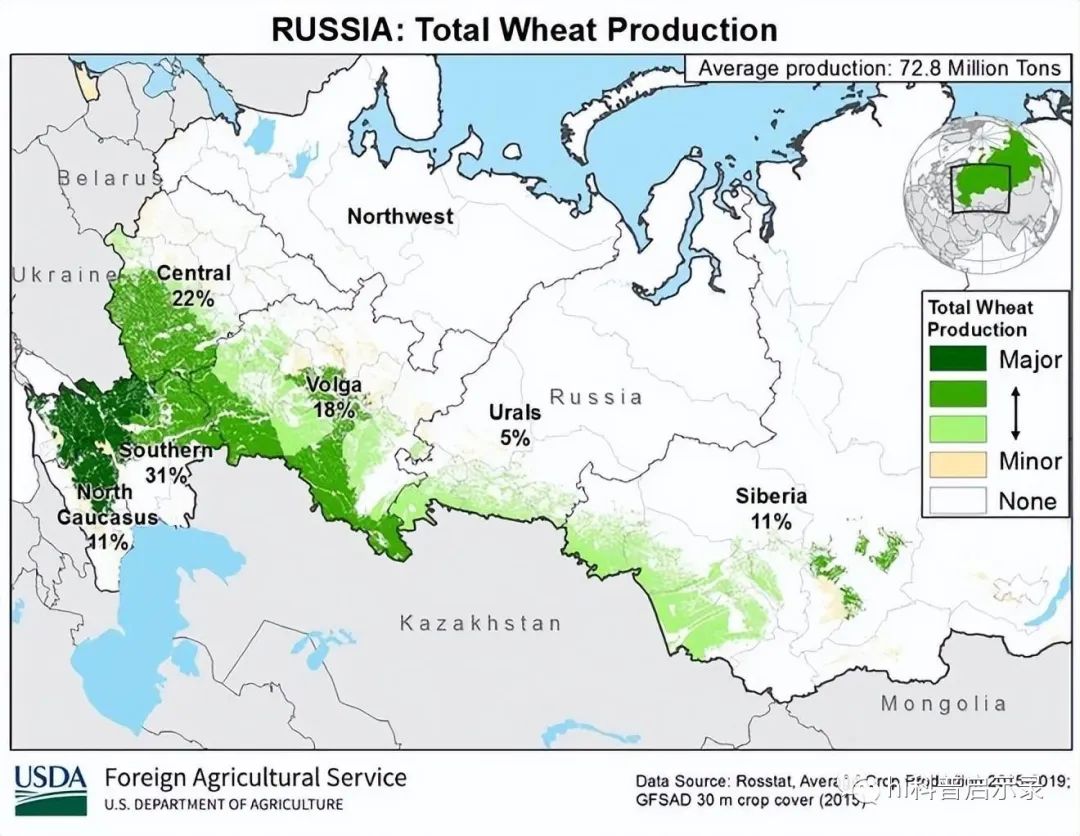 产量是俄罗斯小麦1.3倍,为何质量却不如?中国小麦到底还缺啥?