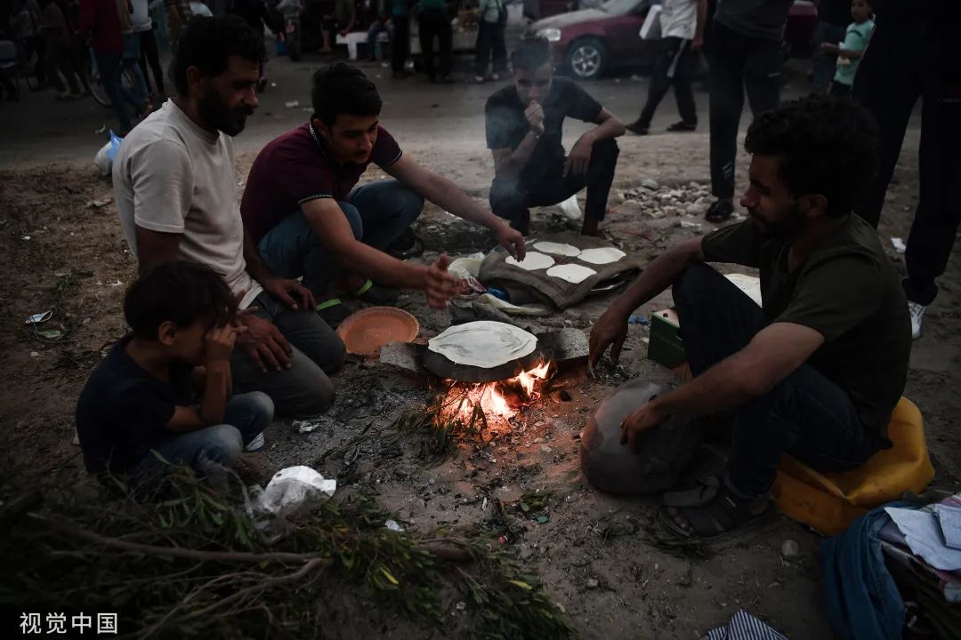 "粮食系统崩溃，加沙已到灾难性临界点"