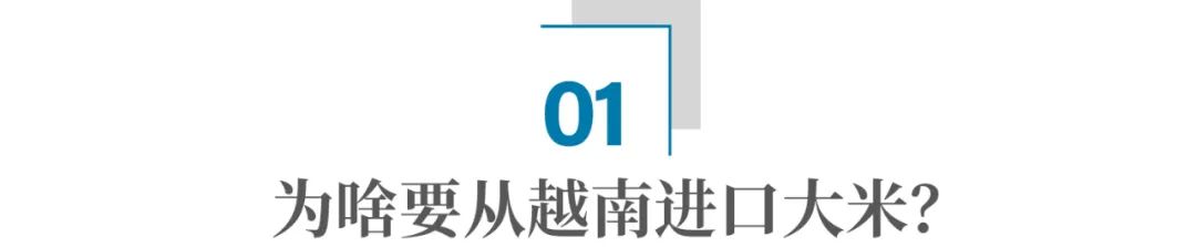 叫停越南900万吨订单背后:中国为什么还需要进口大米?