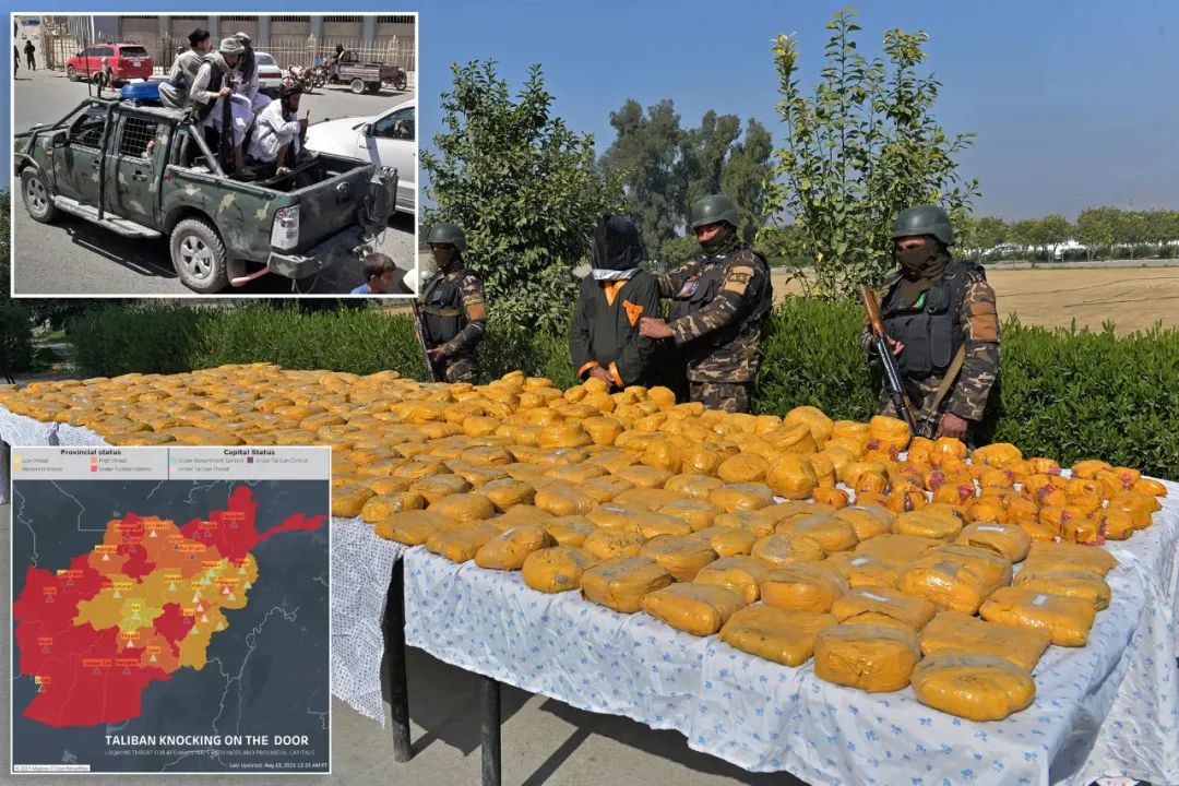 联合国宣布:阿富汗毒品原作物种植面积锐减95%!阿富汗塔利班是咋做到的?