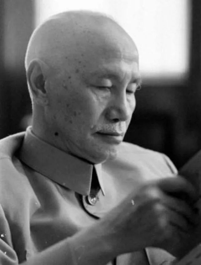 1950年一天,蒋介石心烦意乱,蒋经国闯入:说句话让蒋介石兴奋