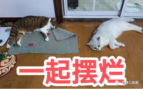 当“老登”遇上“懂王”,大型撕逼现场!