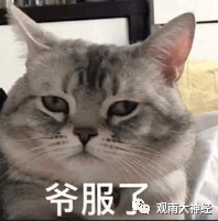 红海上的部落之怒,连军舰都没有的胡塞人是怎么掀翻美国霸权的?