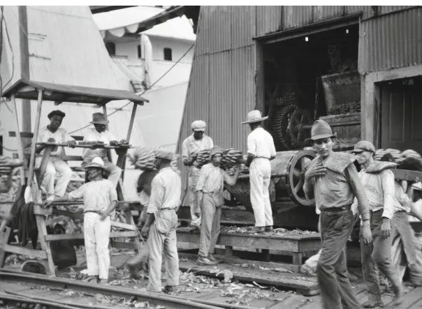 香蕉还有共和国?这个水果公司你听说过吗?