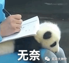 贸易封锁要如何才能成功?金融投资要如何才能赚钱?这个世界到底是如何运转的?