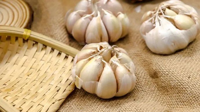 大蒜威胁国家安全不重要,重点是他为什么会那样说