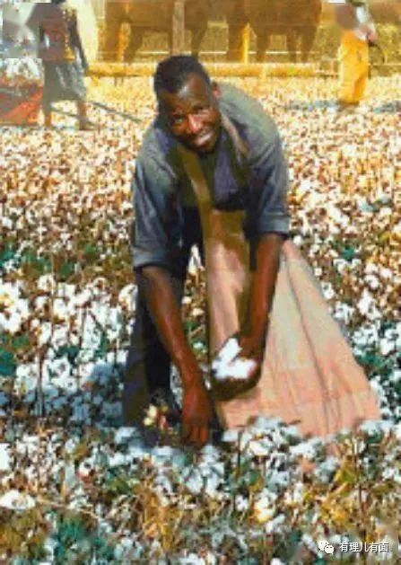 放心,欧洲的问题比美国的“觉醒思想病毒”严重多了!