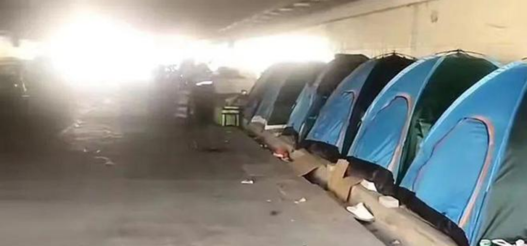 困住人的不止算法