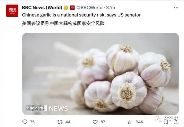 美国参议员指控，中国大蒜构成重大国家安全风险