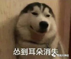 红海上的部落之怒,连军舰都没有的胡塞人是怎么掀翻美国霸权的?