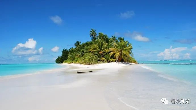 英美占岛不还,杀人杀狗,这叫“基于规则的国际秩序”!