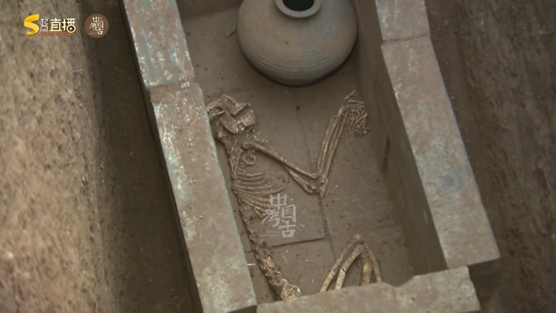 大汉帝国这个地下动物园里,有一只陪葬了2000年的大熊猫……