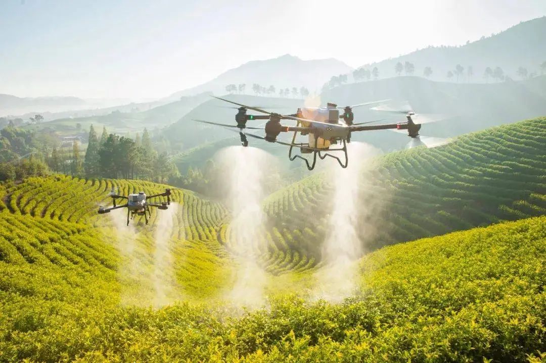 工业大摸底,顺丰:我送的是东风快递?