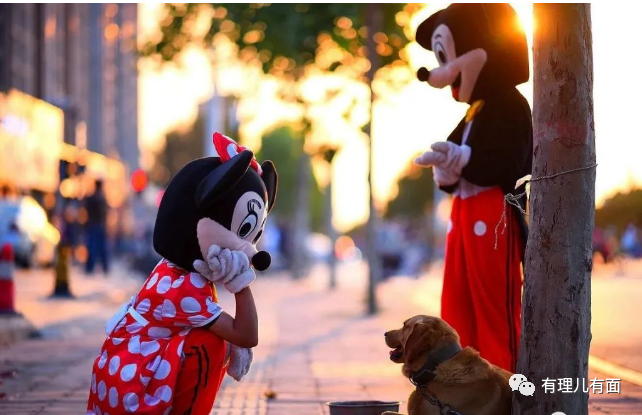 印度版“杀猪盘”,竞争不过就抢!