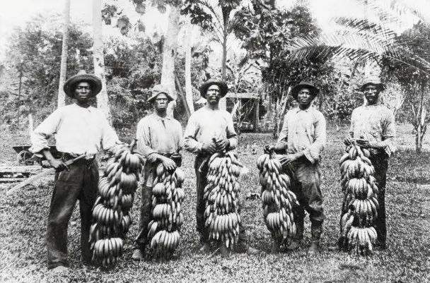 香蕉还有共和国?这个水果公司你听说过吗?