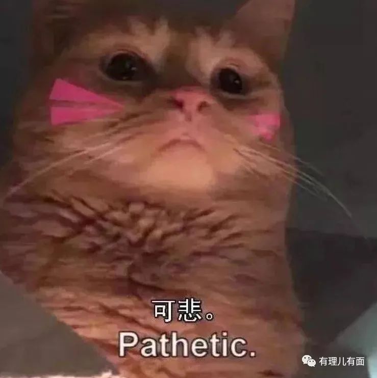 社交媒体:拆解西方代议制民主政治神话