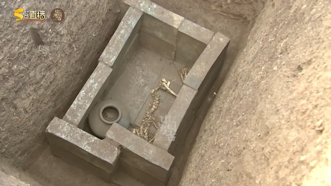 大汉帝国这个地下动物园里,有一只陪葬了2000年的大熊猫……